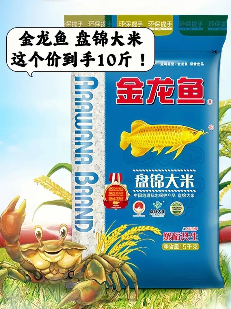 廣州哪里有金龍魚賣呀圖片價格