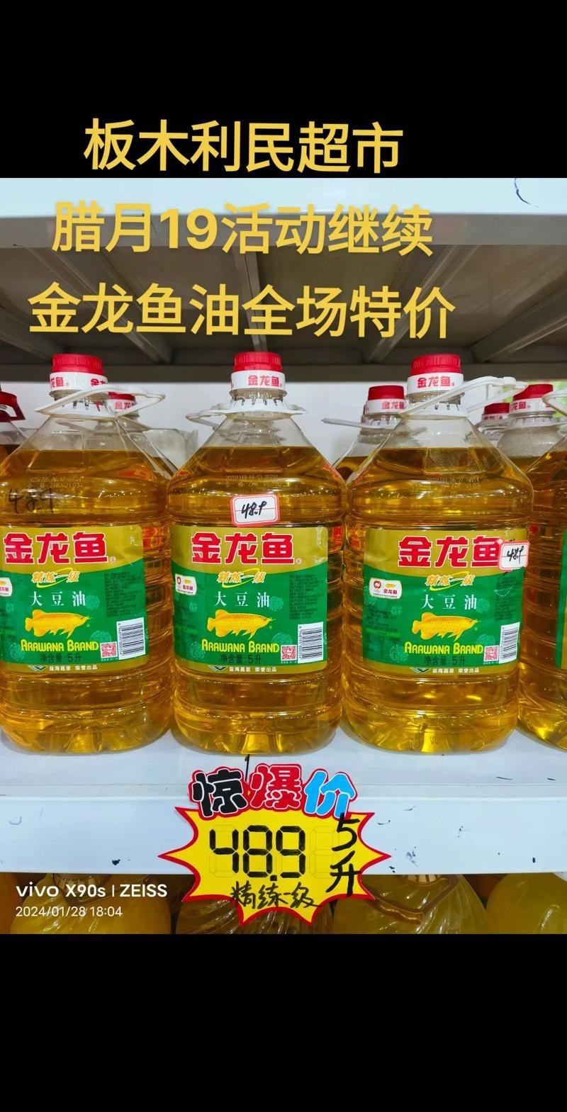 廣州哪里有金龍魚賣呀圖片價格