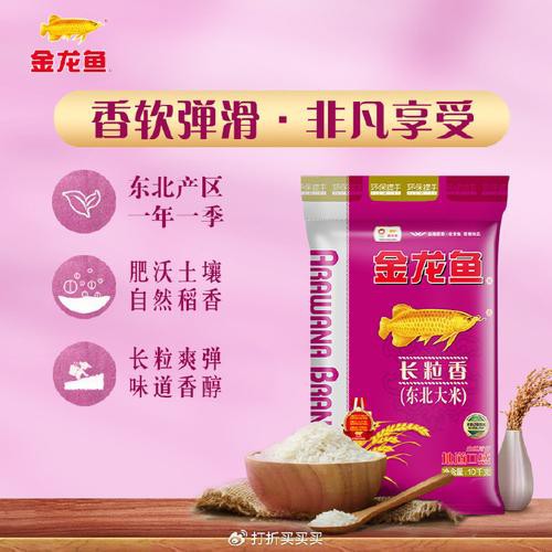 廣州哪里有金龍魚賣呀圖片價格