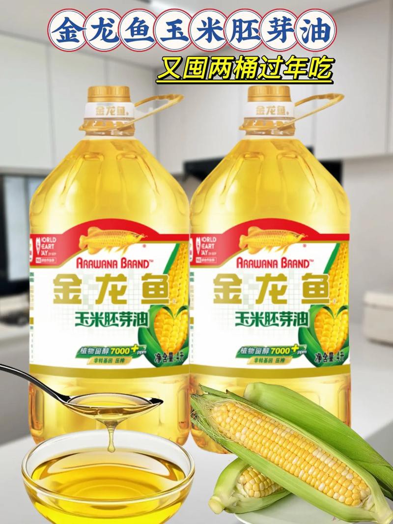 廣州哪里有金龍魚賣呀圖片價格