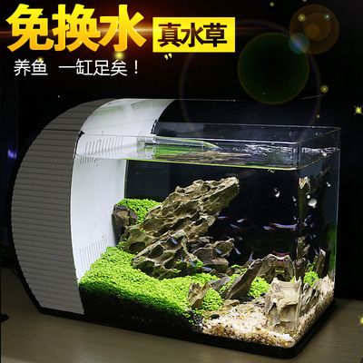 紅龍魚發色過程記錄表格過程記錄表格記錄表格：紅龍魚發色過程怎么記錄