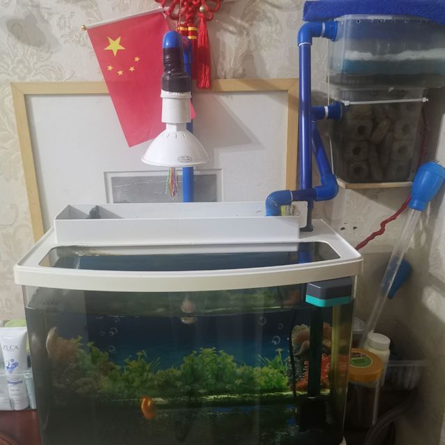 佳寶c380魚缸：佳寶c380魚缸怎么樣
