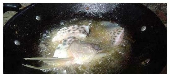 龍魚魚頭朝下是怎么回事：龍魚魚頭朝下的原因及其相應的處理方法