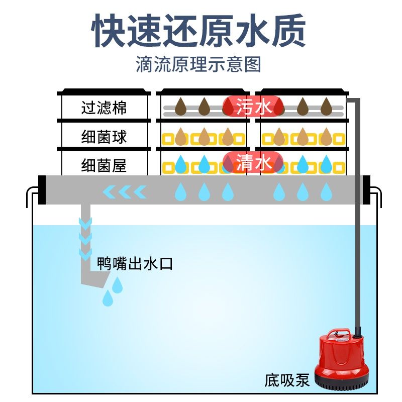 底濾魚缸出水口最佳位置圖，養(yǎng)魚風(fēng)水學(xué)在中國傳統(tǒng)文化中：底濾魚缸出水口最佳位置圖怎么設(shè)計(jì)