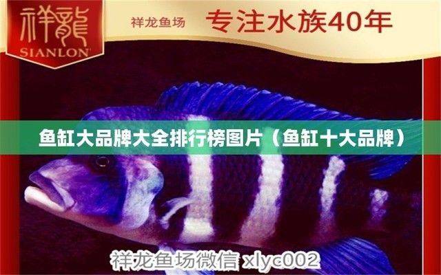 大品牌魚缸：佳寶jebo魚缸材質解析,
