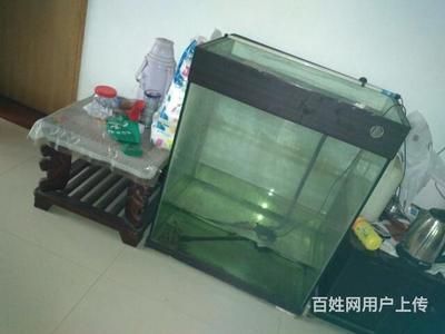 大品牌魚缸：佳寶jebo魚缸材質解析,