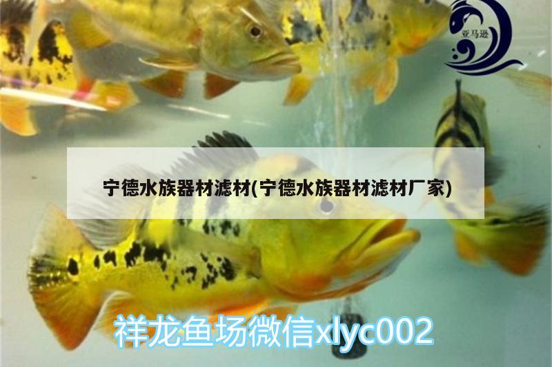 寧德水族器材濾材(寧德水族器材濾材廠家)