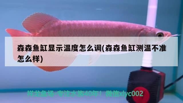 森森魚缸加熱設置最新版本更新內容介紹：森森魚缸加熱棒設置最新版本更新內容介紹
