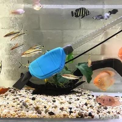 魚缸濾材的選擇指南了解不同種類型的魚缸濾材的選擇指南：新買的魚缸濾材如何清洗