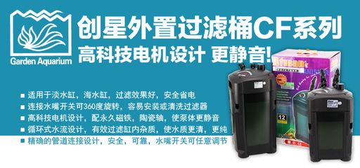 過濾桶魚缸的選擇指南：海水魚缸的選擇指南
