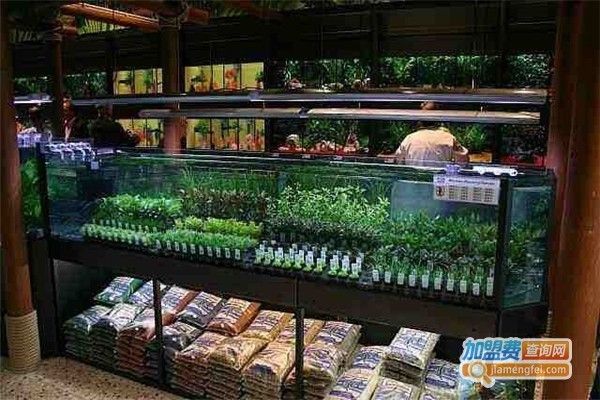 觀賞魚缸加盟店排行榜（佛山水秀坊水族器材制造有限公司）