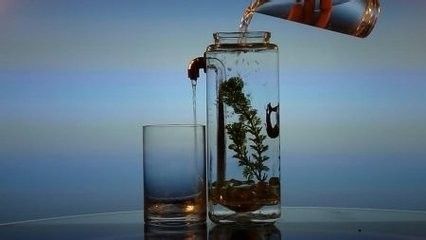 出魚缸是什么原因：如何防止魚缸跳缸