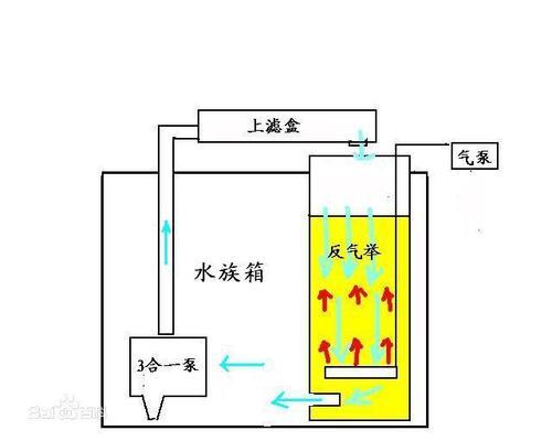 鄭州市上街區(qū)汪記觀賞魚(yú)店（鄭州市上街區(qū)汪記觀賞魚(yú)店地址）