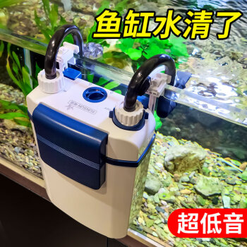 惠農區龍興水族館（惠農區龍興水族館電話）