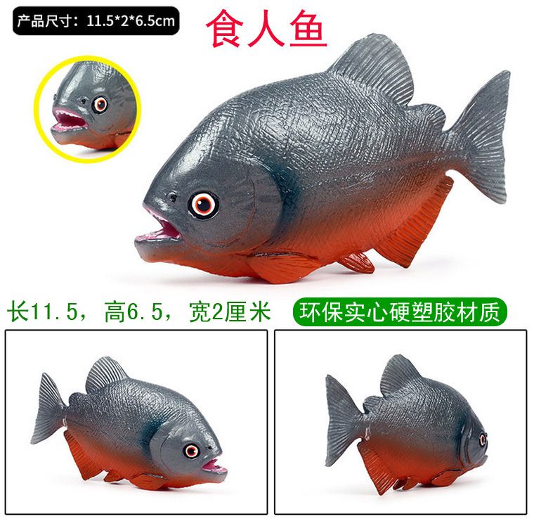 恐龍魚vs食人魚（恐龍魚與食人魚的生態位差異,恐龍魚的觀賞價值探究）