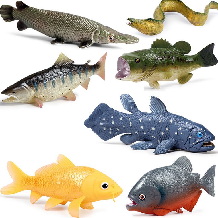 恐龍魚vs食人魚（恐龍魚與食人魚的生態位差異,恐龍魚的觀賞價值探究）