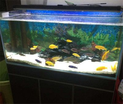 魚缸底砂選擇標(biāo)準(zhǔn)：紅色魚缸底砂的選擇標(biāo)準(zhǔn)