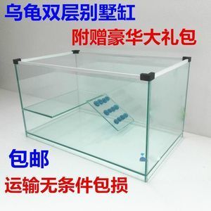 方形玻璃魚缸（個性化魚缸設計的魅力）