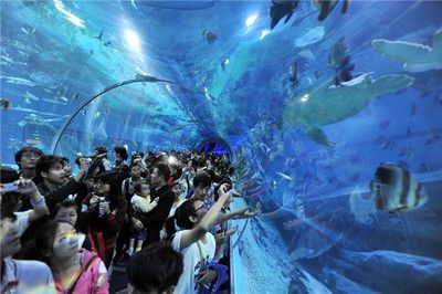 南寧水族館，中國廣西壯族自治區南寧市一個大型水族館旨在展示和保護各種海洋生物 南寧水族館，中國廣西壯族自治區南寧市一個大型水族館旨在展示和保護各種海洋生物 魚缸百科 第5張
