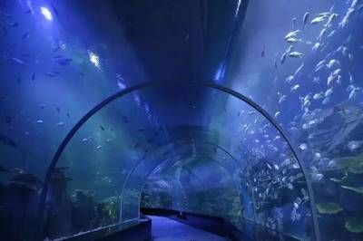 南寧水族館，中國廣西壯族自治區南寧市一個大型水族館旨在展示和保護各種海洋生物 南寧水族館，中國廣西壯族自治區南寧市一個大型水族館旨在展示和保護各種海洋生物 魚缸百科 第3張