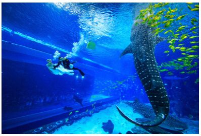 南寧水族館，中國廣西壯族自治區南寧市一個大型水族館旨在展示和保護各種海洋生物 南寧水族館，中國廣西壯族自治區南寧市一個大型水族館旨在展示和保護各種海洋生物 魚缸百科 第1張