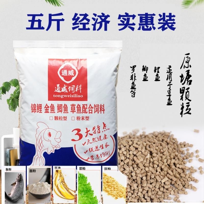 花鰱魚的養殖風險魚缸養殖方法：花鰱魚怎么養殖花鰱魚怎么養殖花鰱魚的養殖方法 花鰱魚的養殖風險魚缸養殖方法：花鰱魚怎么養殖花鰱魚怎么養殖花鰱魚的養殖方法 魚缸百科 第2張