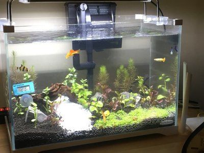 魚缸市場上的水族產業發展趨勢是一線品牌的發展趨勢：水族產業發展趨勢