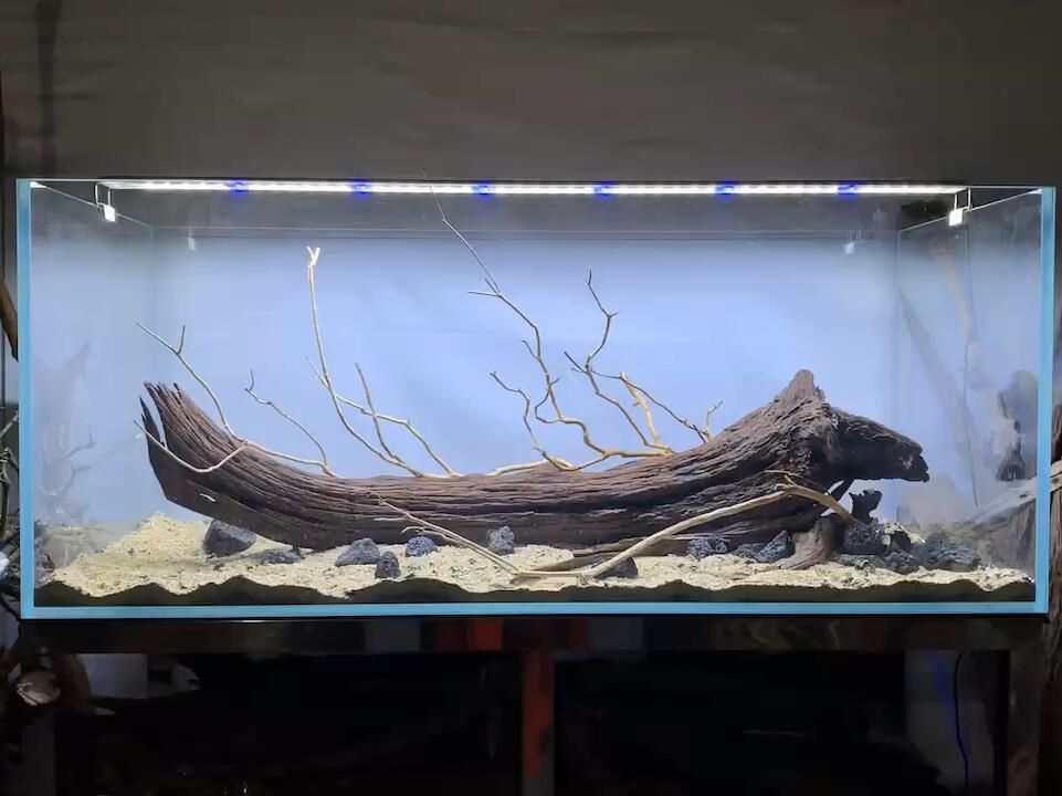 樹干魚缸造景：樹干魚缸造景的網站推薦