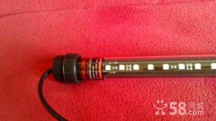 龍魚專用燈哪個牌子好：知名龍魚專用燈品牌