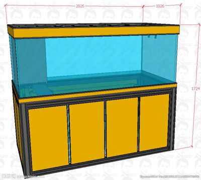 底濾魚缸溢流設計的應用：底濾魚缸溢流式底濾魚缸溢流設計的創新應用和使用技巧
