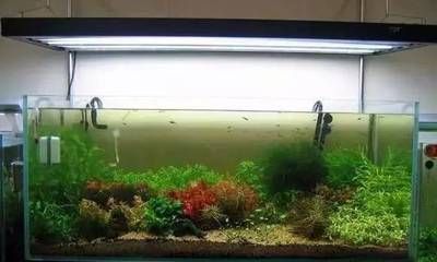 底濾魚缸底濾槽如何補水（底濾魚缸的底濾槽補水是一個相對簡單的過程是否支持）