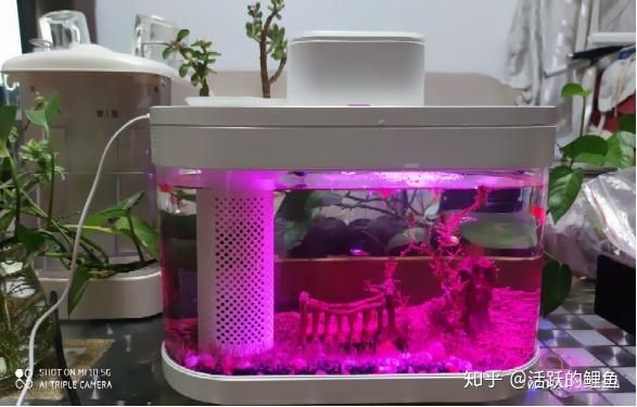 畫法幾何魚缸尺寸圖畫法幾何魚缸尺寸圖：畫法幾何智能生態懶人魚缸