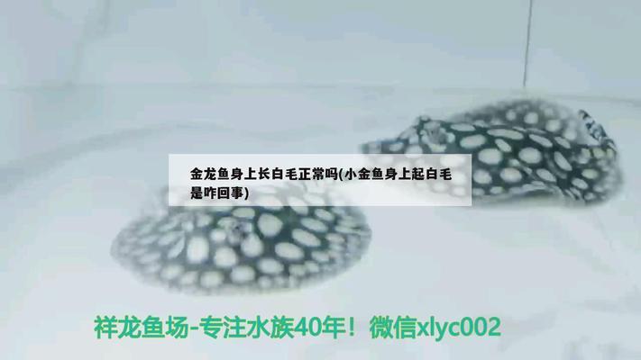 魚缸著名品牌排行榜（森森sunsun魚缸特色介紹閩江水族minjiang用戶評價）