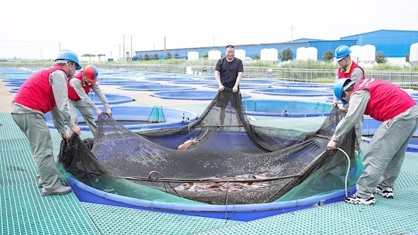 什么品牌魚缸過濾系統最好（魚缸過濾器哪個牌子好）
