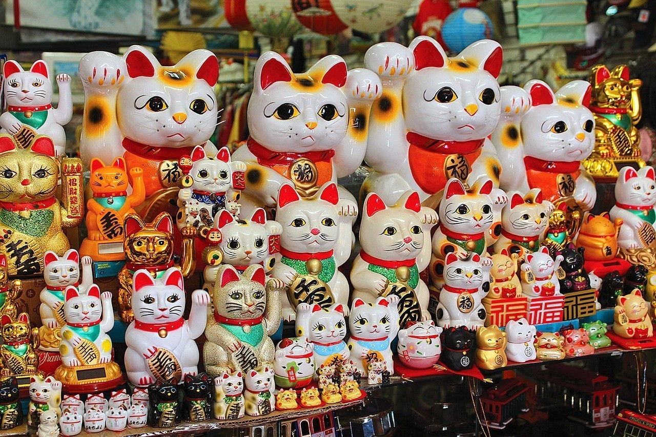 郴州市國根寵物店（郴州哪里可以買寵物） 郴州市國根寵物店（郴州哪里可以買寵物） 全國水族館企業名錄 第3張