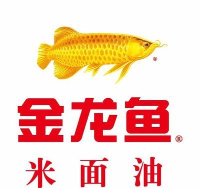金龍魚業務范圍（金龍魚業務范圍廣泛且深入）