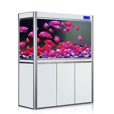 定制魚缸品牌排行榜：定制魚缸品牌性價比排行榜十大排名魚缸品牌排行榜