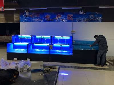 自制魚缸的創意設計想要打造一個既美觀又實用的海鮮魚缸嗎：海鮮魚缸怎么做好看看視頻