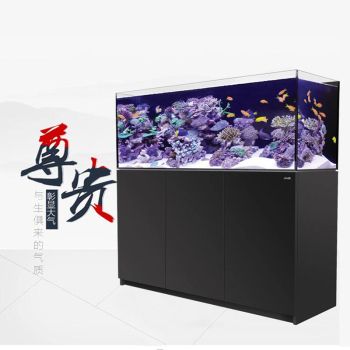紅海魚缸怎么了：關于紅海魚缸價格問題