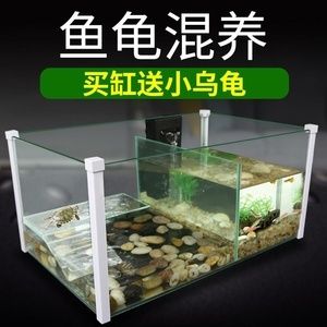 玻璃魚缸切割：玻璃魚缸切割方法