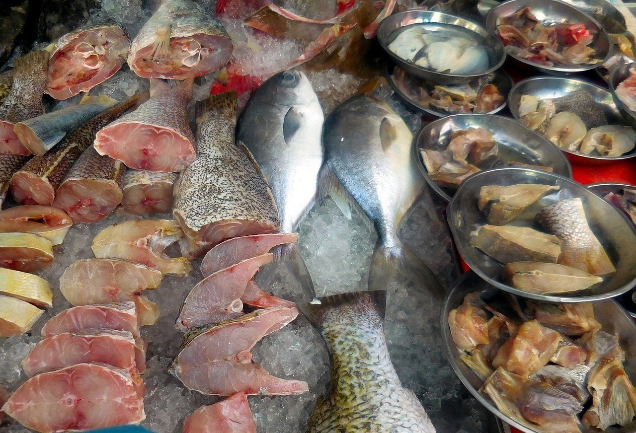 武漢市漢陽區(qū)新新水族店