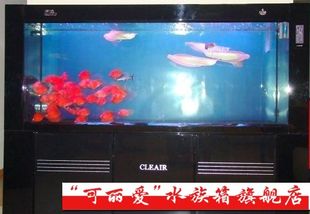 可麗愛(ài)魚(yú)缸旗艦店怎么樣（可麗愛(ài)魚(yú)缸旗艦店怎么樣可麗愛(ài)魚(yú)缸旗艦店怎么樣）