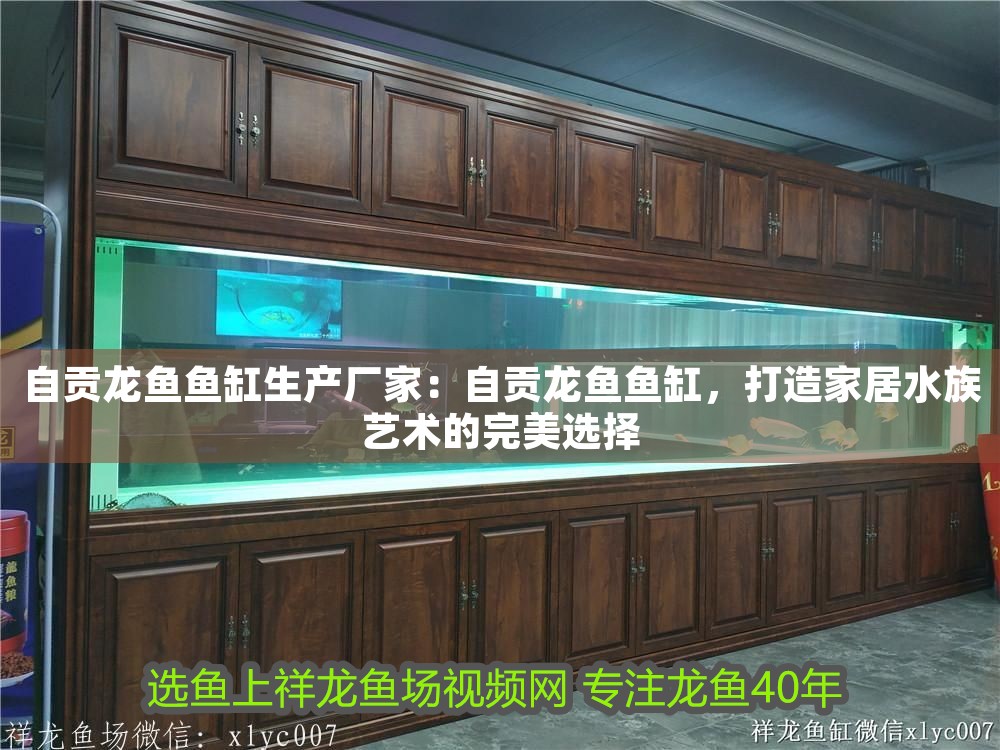 自貢龍魚魚缸生產(chǎn)廠家：自貢龍魚魚缸，打造家居水族藝術(shù)的完美選擇