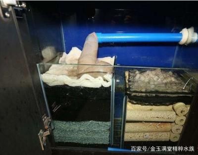 魚缸過濾器魚缸清潔誤區在清潔過程中應注意以下幾點：后過濾魚缸如何正確使用