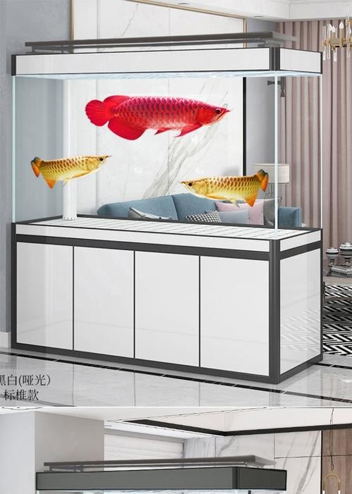 龍魚缸的材質有哪些選擇