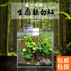 晶一魚(yú)缸：晶一魚(yú)缸優(yōu)惠活動(dòng)，晶一魚(yú)缸用戶養(yǎng)護(hù)心得