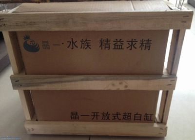 晶一魚(yú)缸：晶一魚(yú)缸優(yōu)惠活動(dòng)，晶一魚(yú)缸用戶養(yǎng)護(hù)心得