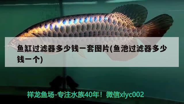 白銀市白銀區(qū)張秀英（白銀市白銀區(qū)張秀英簡歷）