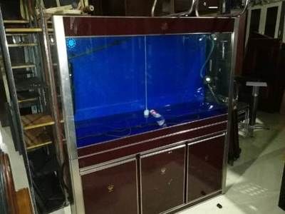 皇冠牌魚缸水質管理了解如何維護魚缸的水質管理：皇冠牌魚缸怎么樣