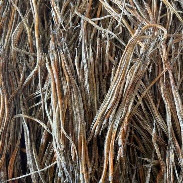 龍魚干的價格范圍是多少？